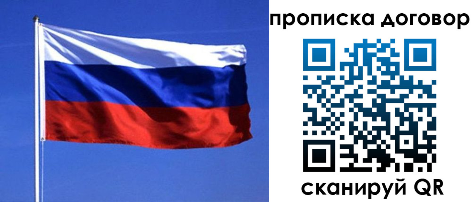 прописка поиск в Строителе